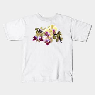 Pale Yellow and Magenta Phalaenopsis Orchids Kids T-Shirt